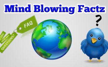Mind Blowing Facts That Will Blow Your Mind