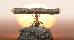  Successful And Happy