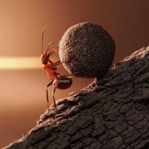 Highly Successful And Happy