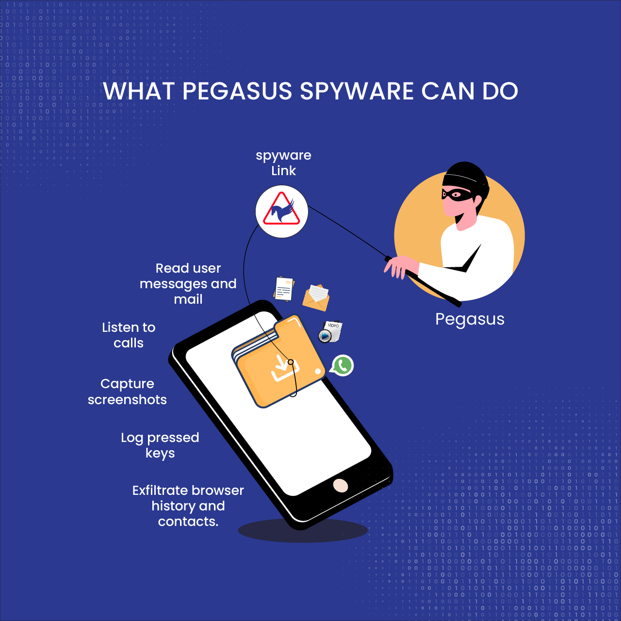 Software pegasus