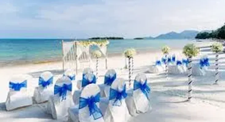 Top 5 Best Luxury Wedding