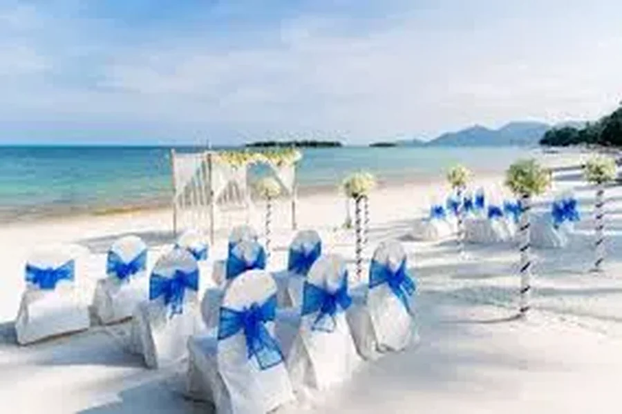 Top 5 Best Luxury Wedding