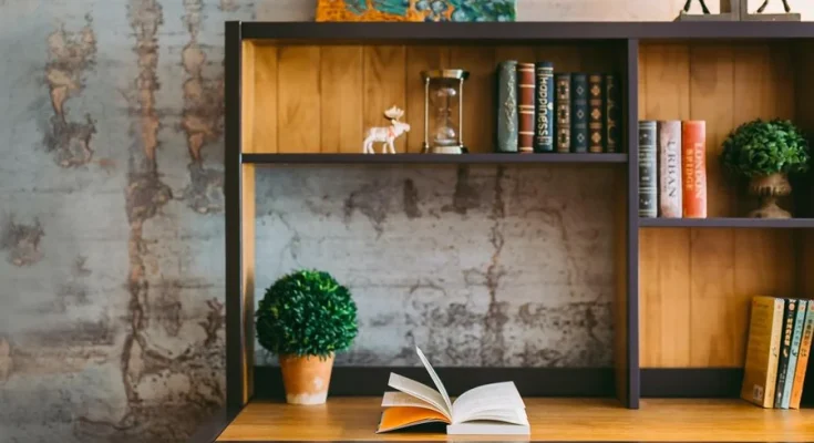Creative Bookshelf Design Ideas