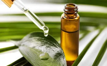 Chemical Gels