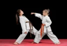 Martial Arts